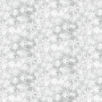 ttWINTER-CD4897 SNOW